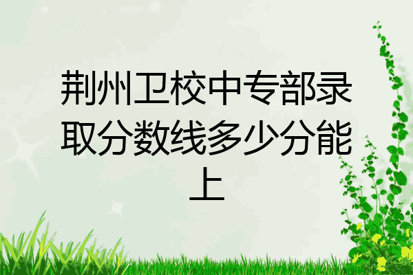 荆州卫校中专部录取分数线多少分能上