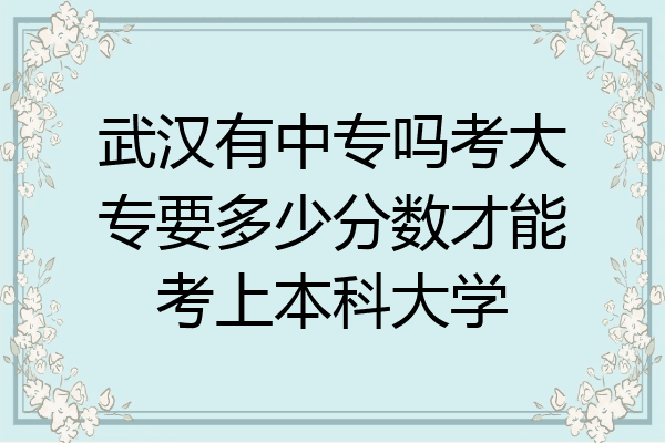 武汉有中专吗考大专要多少分数才能考上本科大学