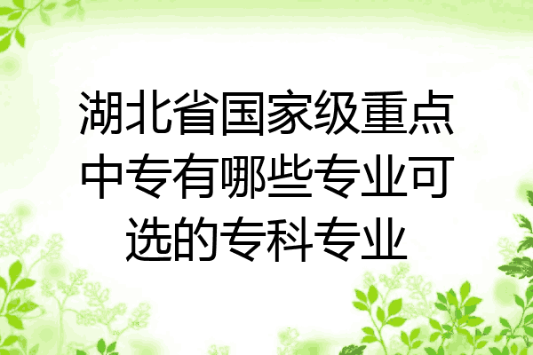 湖北省国家级重点中专有哪些专业可选的专科专业