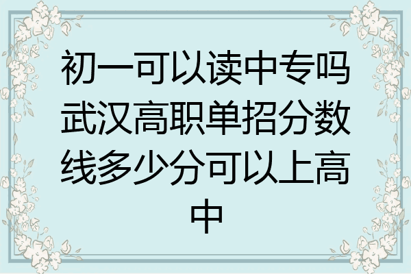 初一可以读中专吗武汉高职单招分数线多少分可以上高中