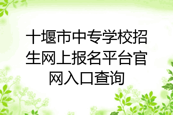 十堰市中专学校招生网上报名平台官网入口查询