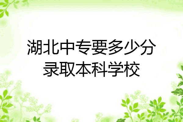 湖北中专要多少分录取本科学校