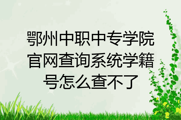 鄂州中职中专学院官网查询系统学籍号怎么查不了