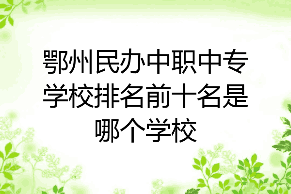 鄂州民办中职中专学校排名前十名是哪个学校