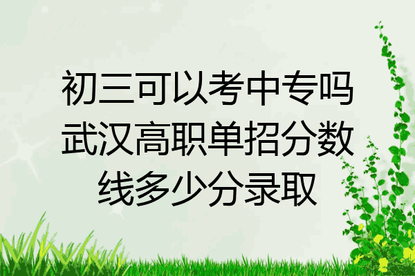 初三可以考中专吗武汉高职单招分数线多少分录取