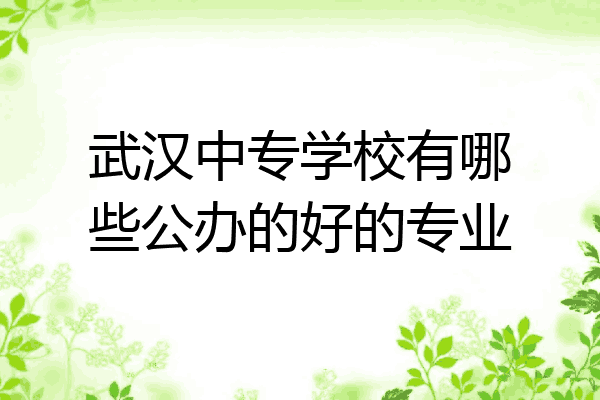 武汉中专学校有哪些公办的好的专业