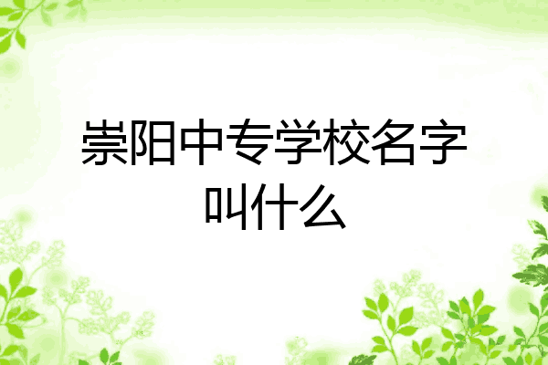崇阳中专学校名字叫什么