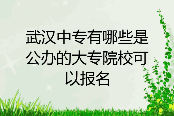 武汉中专有哪些是公办的大专院校可以报名