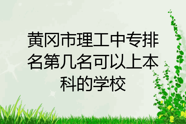 黄冈市理工中专排名第几名可以上本科的学校