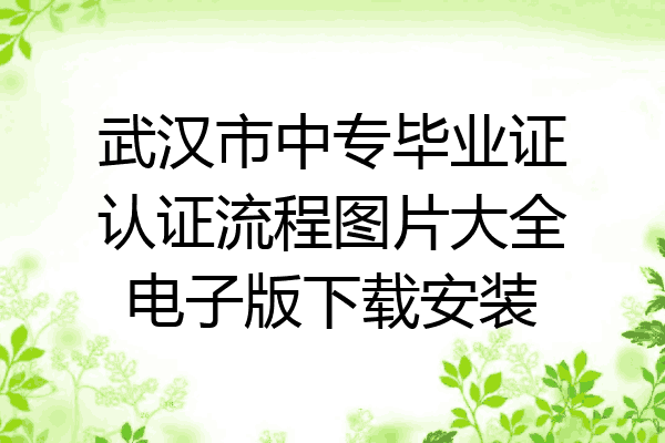 武汉市中专毕业证认证流程图片大全电子版下载安装