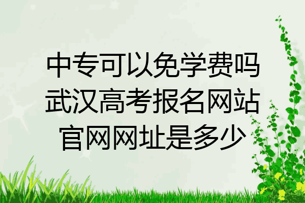 中专可以免学费吗武汉高考报名网站官网网址是多少