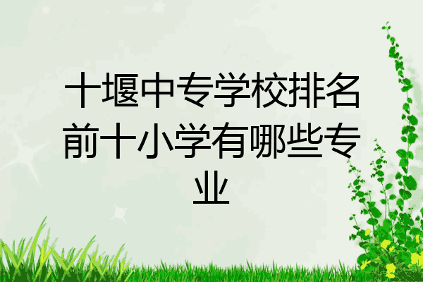 十堰中专学校排名前十小学有哪些专业