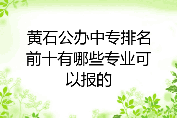 黄石公办中专排名前十有哪些专业可以报的