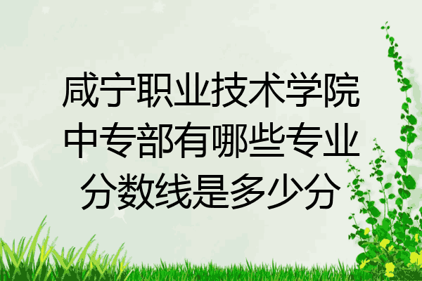 咸宁职业技术学院中专部有哪些专业分数线是多少分