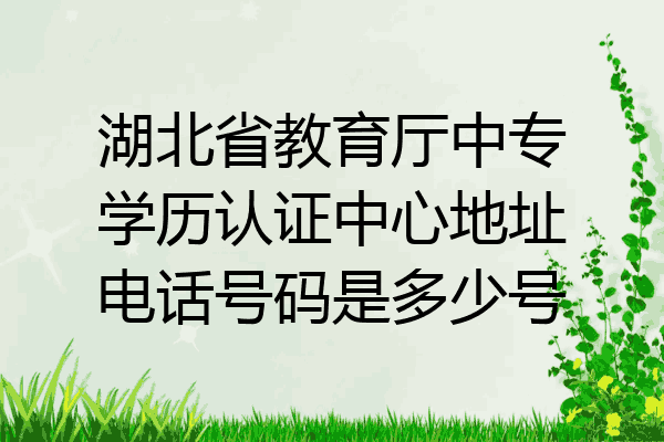 湖北省教育厅中专学历认证中心地址电话号码是多少号