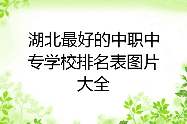 湖北最好的中职中专学校排名表图片大全
