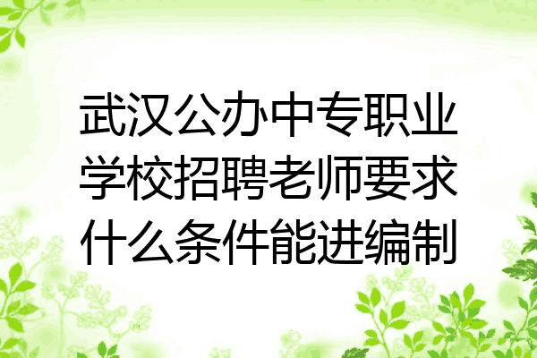 武汉公办中专职业学校招聘老师要求什么条件能进编制