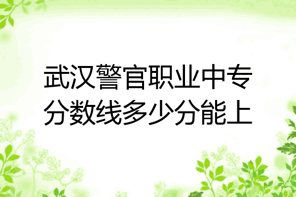 武汉警官职业中专分数线多少分能上