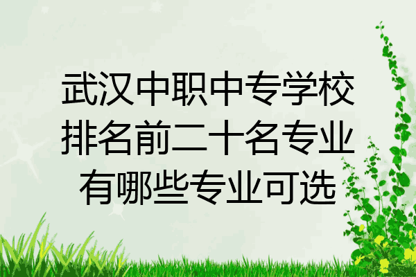 武汉中职中专学校排名前二十名专业有哪些专业可选