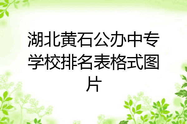 湖北黄石公办中专学校排名表格式图片