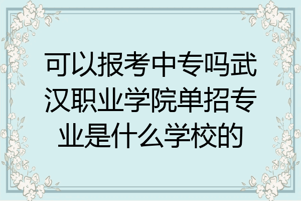 可以报考中专吗武汉职业学院单招专业是什么学校的
