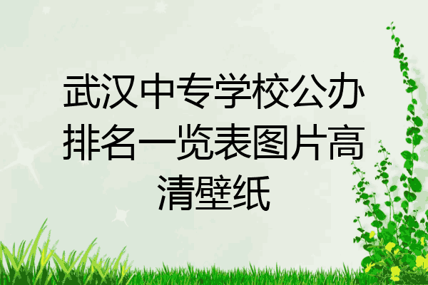 武汉中专学校公办排名一览表图片高清壁纸