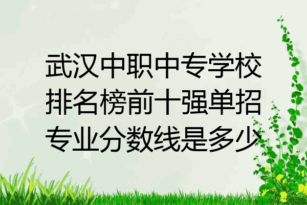 武汉中职中专学校排名榜前十强单招专业分数线是多少