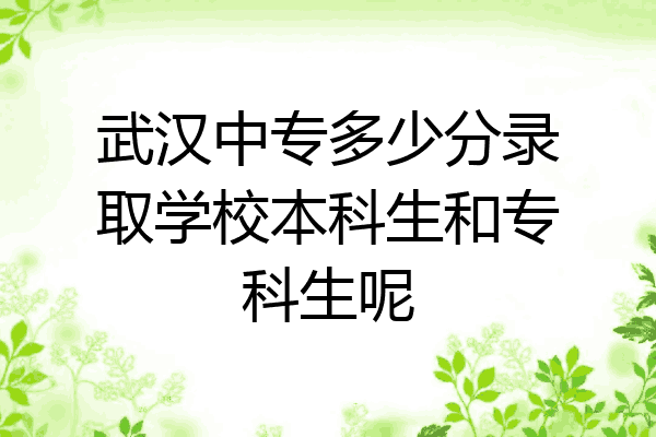 武汉中专多少分录取学校本科生和专科生呢