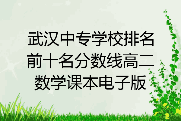 武汉中专学校排名前十名分数线高二数学课本电子版