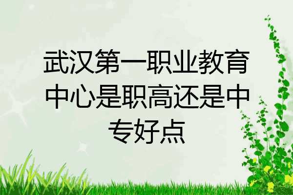 武汉第一职业教育中心是职高还是中专好点