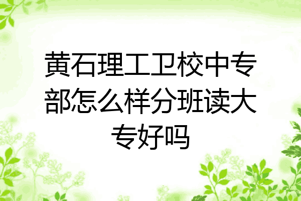 黄石理工卫校中专部怎么样分班读大专好吗