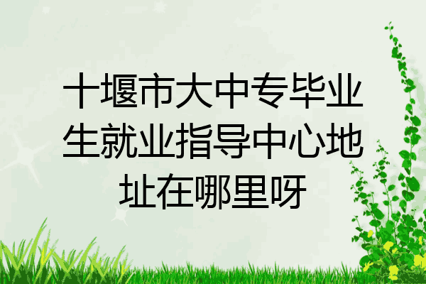 十堰市大中专毕业生就业指导中心地址在哪里呀