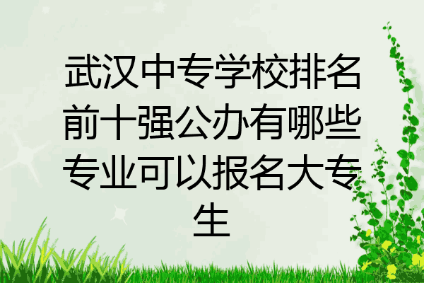武汉中专学校排名前十强公办有哪些专业可以报名大专生