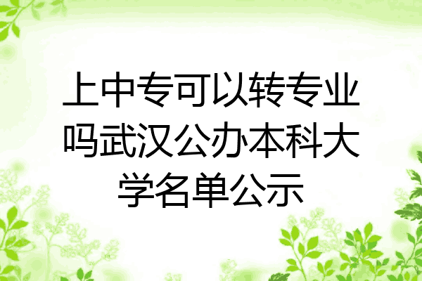 上中专可以转专业吗武汉公办本科大学名单公示