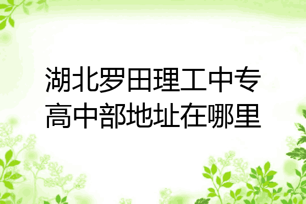 湖北罗田理工中专高中部地址在哪里