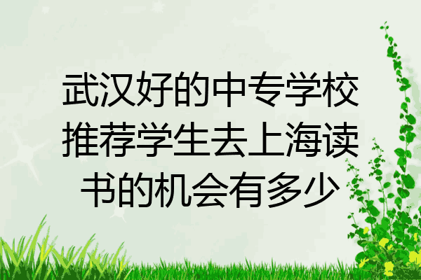 武汉好的中专学校推荐学生去上海读书的机会有多少