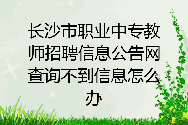 长沙市职业中专教师招聘信息公告网查询不到信息怎么办
