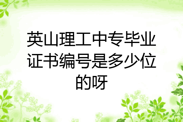 英山理工中专毕业证书编号是多少位的呀
