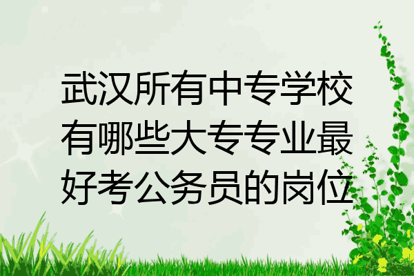 武汉所有中专学校有哪些大专专业最好考公务员的岗位