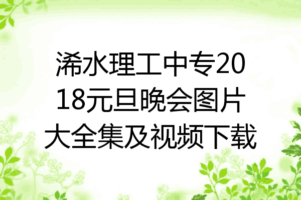 浠水理工中专2018元旦晚会图片大全集及视频下载