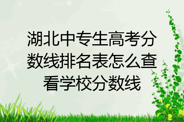 湖北中专生高考分数线排名表怎么查看学校分数线
