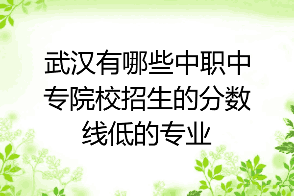 武汉有哪些中职中专院校招生的分数线低的专业