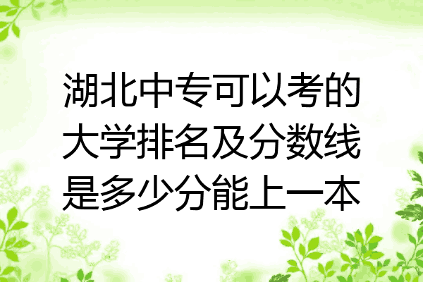 湖北中专可以考的大学排名及分数线是多少分能上一本