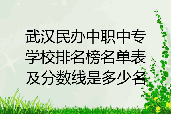 武汉民办中职中专学校排名榜名单表及分数线是多少名