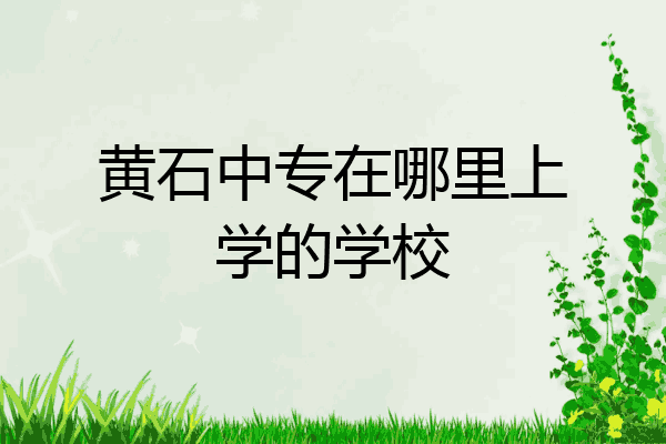 黄石中专在哪里上学的学校