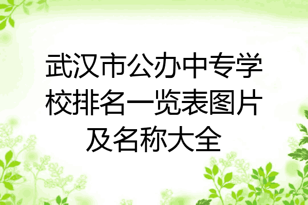 武汉市公办中专学校排名一览表图片及名称大全