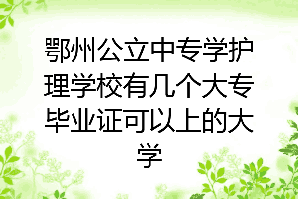 鄂州公立中专学护理学校有几个大专毕业证可以上的大学