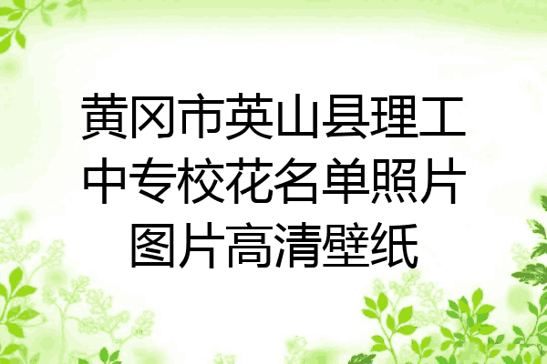 黄冈市英山县理工中专校花名单照片图片高清壁纸