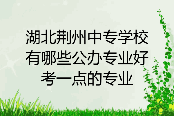 湖北荆州中专学校有哪些公办专业好考一点的专业