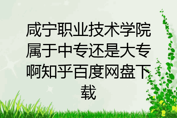 咸宁职业技术学院属于中专还是大专啊知乎百度网盘下载